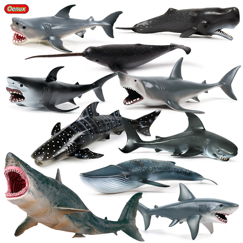 Kids Without Education - Oenux Sea Life SAVAGE MegalodonฉลามOrca Spermปลาวาฬสีน้ำเงินตัวเลขการกระทำOcean