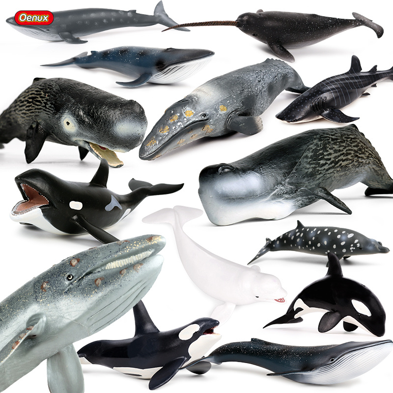 Kids Without Education - Oenux Ocean สัตว์ Savage Megalodon Beluga
