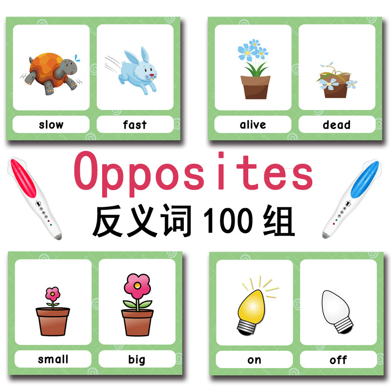 แฟลชการ์ดคำศัพท์ภาษาอังกฤษ 100 - Kids Education Card บทวิจารณ์และราคา