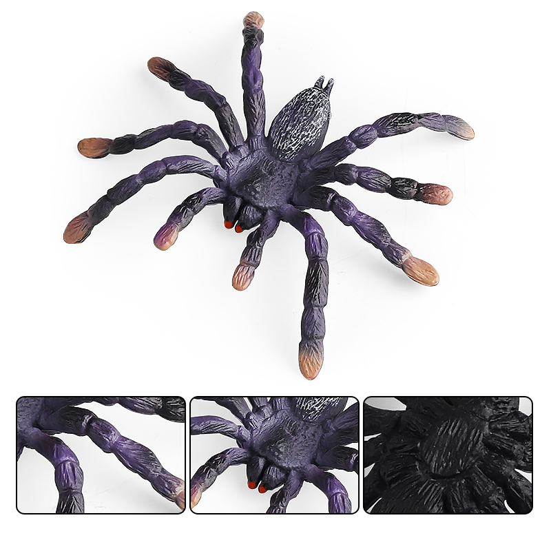 Oenux แมลงสัตว์ Spider Web แมง - Kids Without Education บทวิจารณ์และราคา