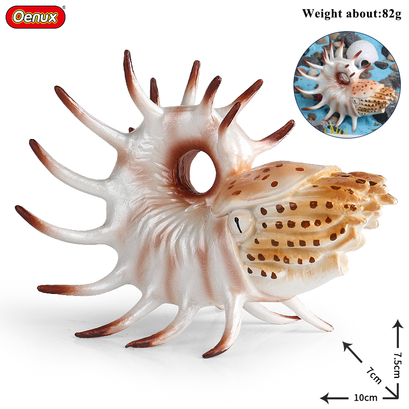 Oenux สัตว์ทะเลปะการัง nautilo - Kids Without Education บทวิจารณ์และราคา