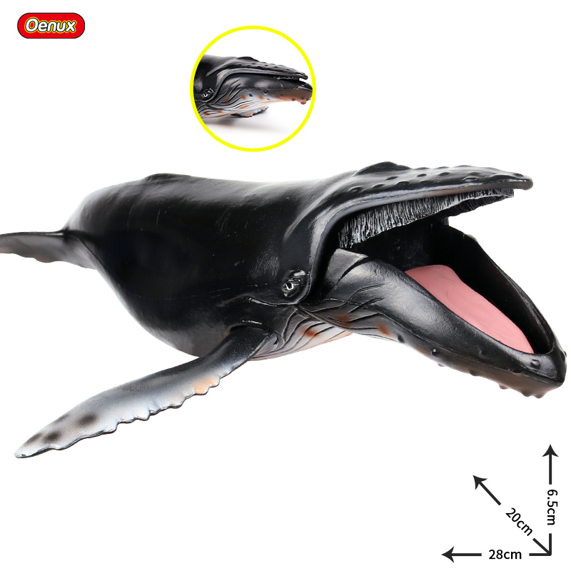 Oenux Sea Life SAVAGE Megalodo - Kids Without Education บทวิจารณ์และราคา
