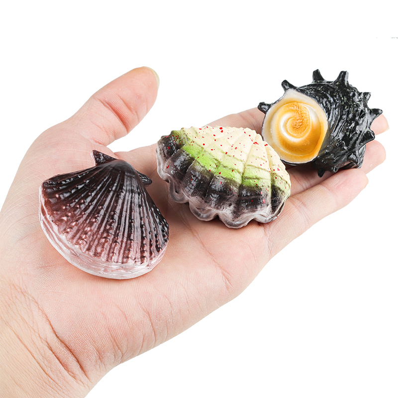 Oenux Ocean Oyste หอยเชลล์ปลาด - Kids Without Education บทวิจารณ์และราคา