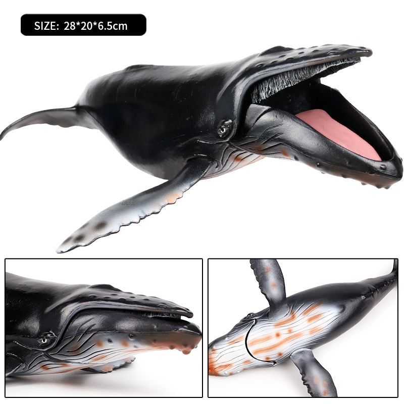 Oenux Ocean สัตว์ Savage Megal - Kids Without Education บทวิจารณ์และราคา