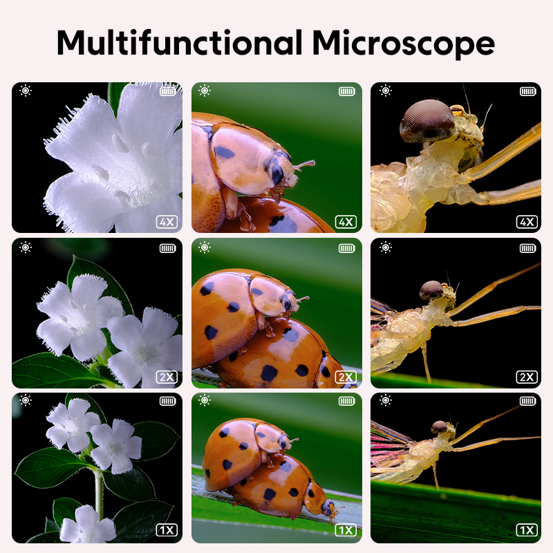 Mini Kids กล้องจุลทรรศน์แสงพร้ - Kids Educational Videos บทวิจารณ์และราคา